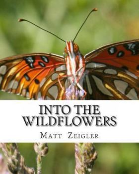 Paperback Into The Wildflowers Book