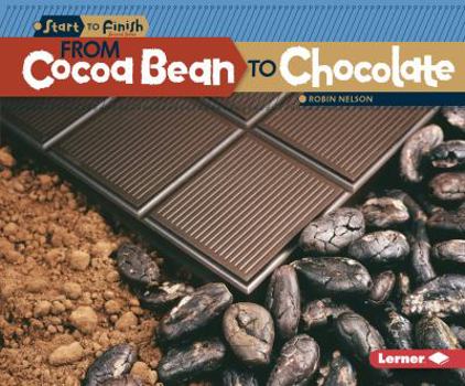 Paperback From Cocoa Bean to Chocolate Book