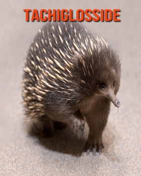 Tachiglosside: Foto stupende e fatti divertenti Libro sui Tachiglosside per bambini (Italian Edition)