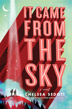 Hardcover It Came from the Sky Book