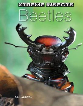 Beetles - Book  of the Xtreme Insects
