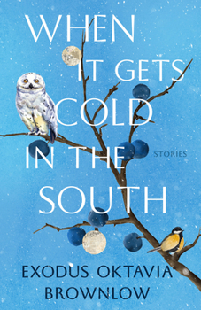 Hardcover When It Gets Cold in the South: Stories Book