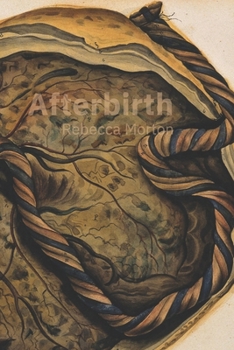 Paperback Afterbirth Book