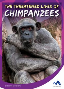 Library Binding The Threatened Lives of Chimpanzees Book