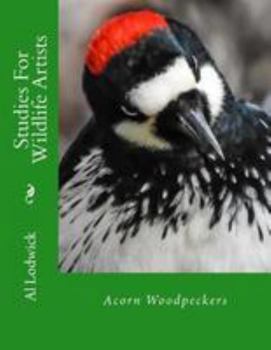 Paperback Acorn Woodpeckers: Studies For Wildlife Artists Book