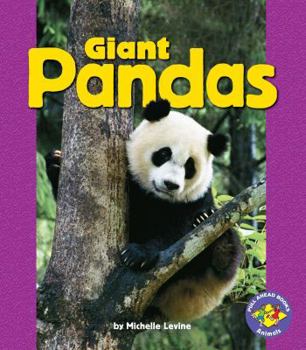 Paperback Giant Pandas Book