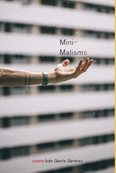 Paperback Minimalisms Book
