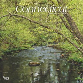 Calendar Connecticut Wild & Scenic 2025 12 X 24 Inch Monthly Square Wall Calendar Plastic-Free Book