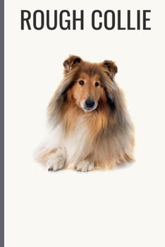 Rough Collie: Rough Collie Notebook with More Rough Collies Inside - Unique Journal For Proud Dog Owners, Dads - 120 Pages Blank (6