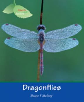 Library Binding Dragonflies (Insects) Book