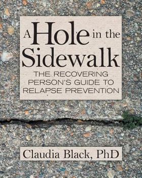 Paperback Hole in the Sidewalk: A Recovering Person's Guide to Relapse Prevention Book