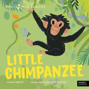 Hardcover Little Chimpanzee: A Day in the Life of a Little Chimpanzee Book