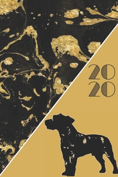 2020: 2020 Sunday Start Monthly Calendar and Organizer | Jack Russell Terrier Gift for Women