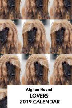 Paperback Afghan Hound Lovers 2019 Calendar Book