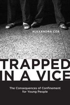 Electronics Trapped in a Vice: The Consequences of Confinement for Young People Book