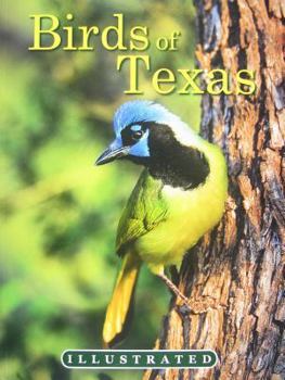 Paperback Birds of Texas Book
