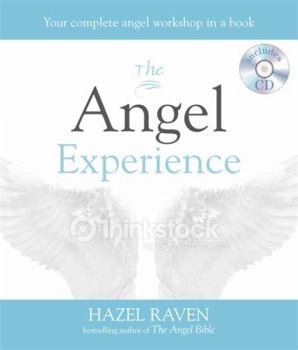 Paperback The Angel Experience Book