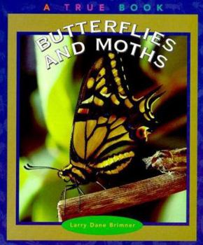 Hardcover Butterflies and Moths Book