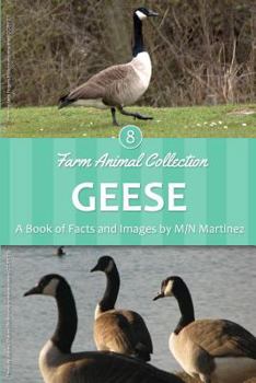 Paperback Geese Book