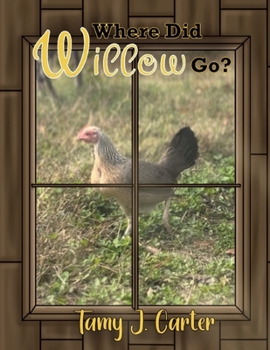 Paperback Where did Willow Go Book