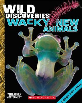 Paperback Wild Discoveries: Wacky New Animals Book
