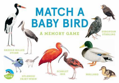 Cards Match a Baby Bird/Anglais Book