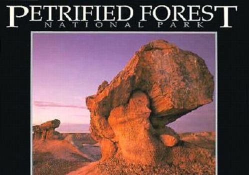 Paperback Petrified Forest (National Park, AZ) (Postcard Books) Book