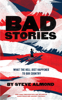 Paperback Bad Stories: What the Hell Just Happened to Our Country Book