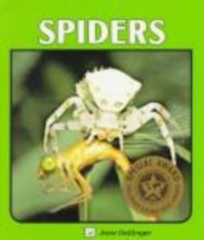 Paperback Spiders Book