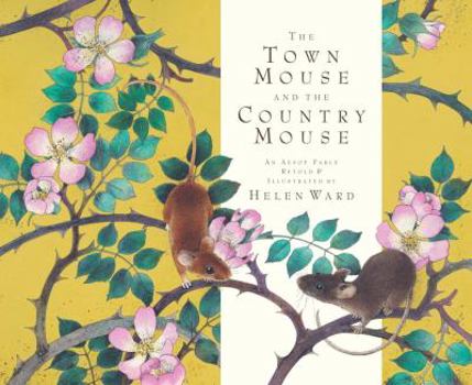 Hardcover The Town Mouse and the Country Mouse Book