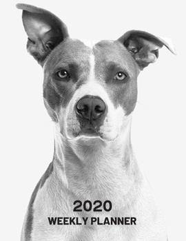 Paperback 2020 Weekly Planner: Pitbull Dog 52 Week Journal 8.5 x 11 inches for Women, Academic Organizer Monthly Calendar Scheduler Appointment Agend Book