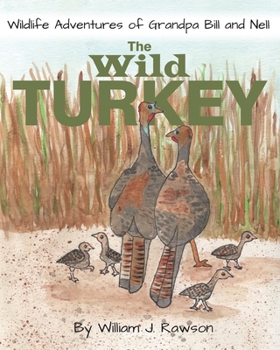 Paperback The Wild Turkey Book