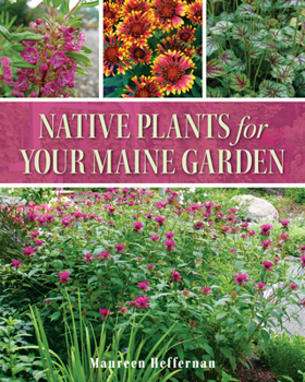 Paperback Native Plants for Your Maine Garden Book