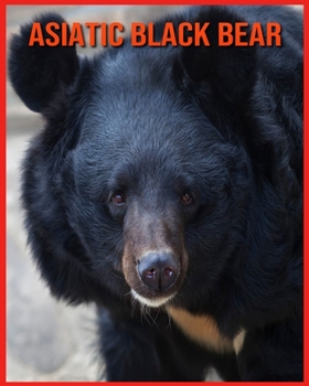 Asiatic Black Bear: Incredible Pictures and Fun Facts about Asiatic Black Bear
