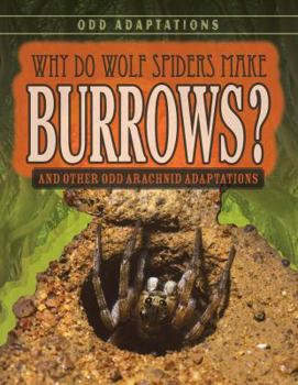 Paperback Why Do Wolf Spiders Make Burrows?: And Other Odd Arachnid Adaptations Book