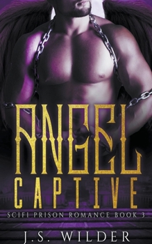 Paperback Angel Captive Book