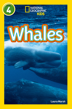 Paperback NAT GEO READER - WHALES Book