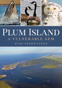 Paperback Plum Island: A Vulnerable Gem Book