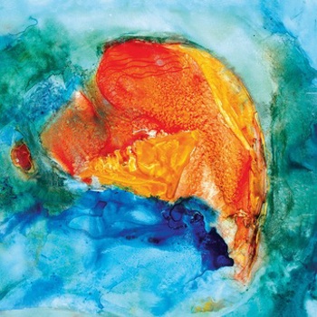 Vinyl The Magic Of True Love Book