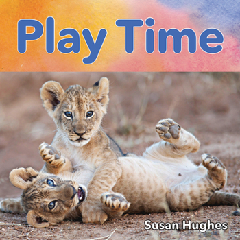 Board book Play Time Book