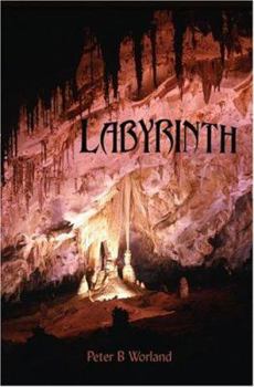 Paperback Labyrinth Book