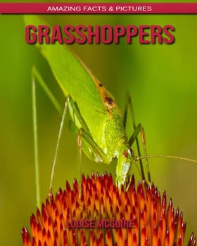 Grasshoppers: Amazing Facts & Pictures