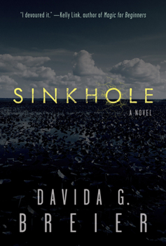 Paperback Sinkhole Book