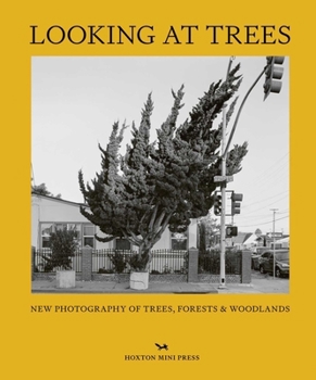 Hardcover Looking at Trees: New Photography of Trees, Forests and Woodlands Book
