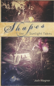 Paperback Shapes the Sunlight Takes Book