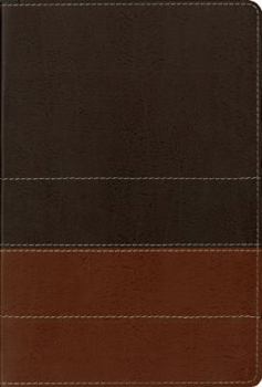 NIV Study Bible