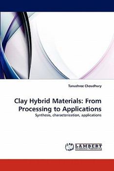 Paperback Clay Hybrid Materials: From Processing to Applications Book