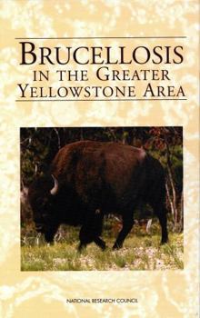 Hardcover Brucellosis in the Greater Yellowstone Area Book