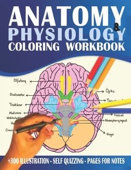 Paperback Anatomy And Physiology Coloring Workbook: The Best Way To Learn The Human Anatomy And Physiology Book