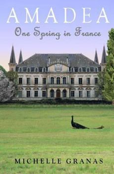 Paperback Amadea: One Spring in France Book